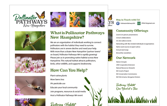 Pollinator Pathways NH Informational Sheet