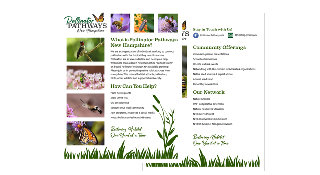 Pollinator Pathways NH Informational Sheet